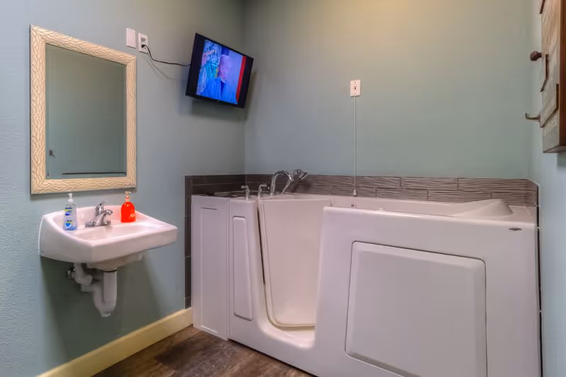 A bathroom with a walk-in bathtub featuring a door for easy access, a wall-mounted sink with hand soap and sanitizer, a mirror above the sink, and a small wall-mounted television. The walls are painted light green and the floor has a wood-like finish.