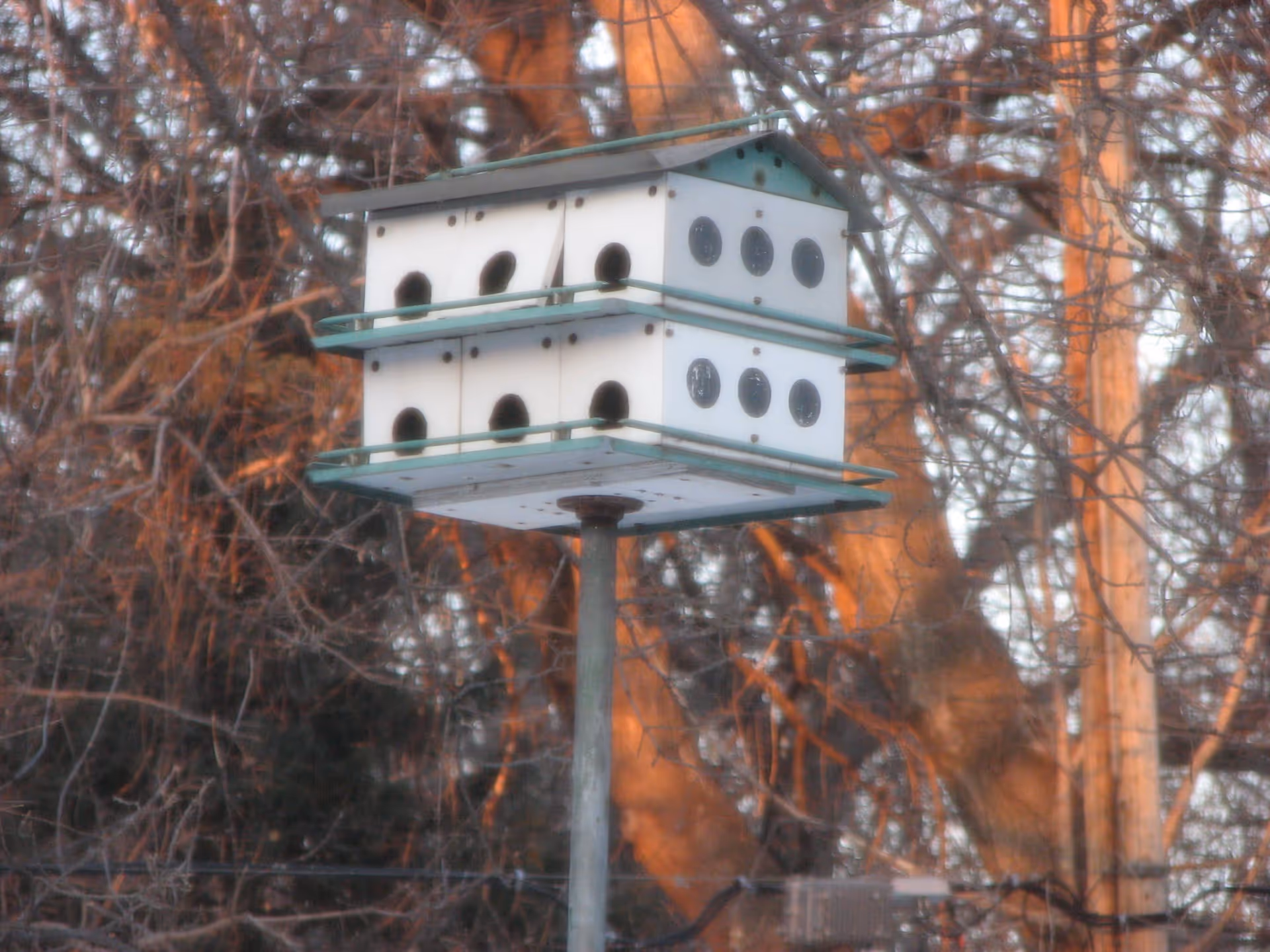 A multi-level birdhouse mounted on a pole with several circular entry holes, set against a background of leafless trees and branches.
