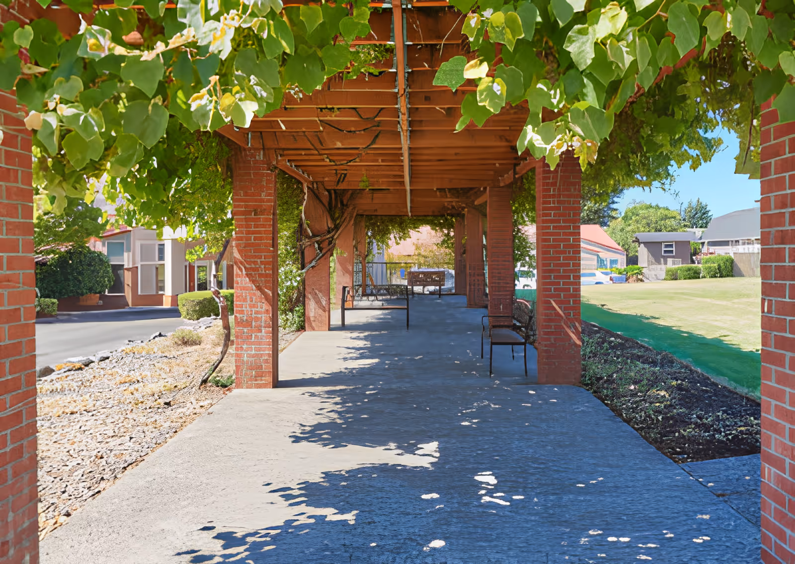 A shaded brick pergola-covered walkway with benches and vine foliage beside a lawn and nearby buildings.