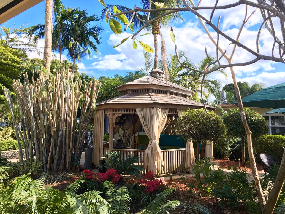 A wooden gazebo with beige curtains tied back, surrounded by lush greenery including palm trees, bushes, and flowering plants under a bright blue sky with scattered clouds.