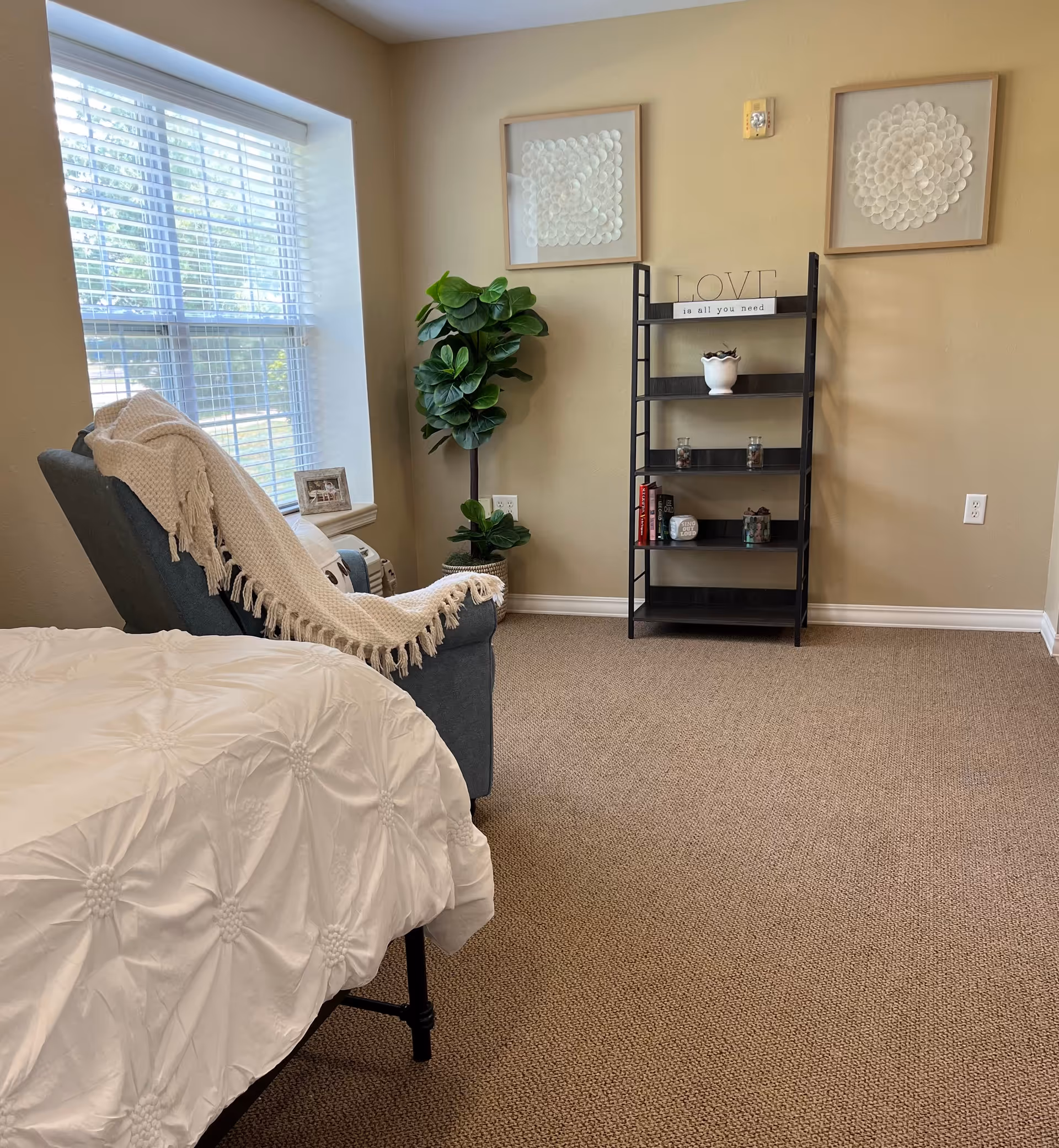 A cozy bedroom corner featuring a bed with a white textured comforter, a blue armchair draped with a cream-colored knitted throw, a window with white blinds letting in natural light, a tall green potted plant, and a black shelving unit with decorative items and framed wall art above it.
