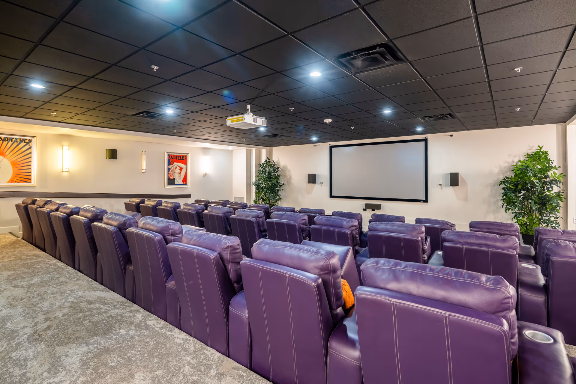 A home theater room with multiple rows of purple leather recliner chairs facing a large projection screen. The room has a black ceiling with recessed lighting, light-colored walls with framed artwork, and two green potted plants on either side of the screen.