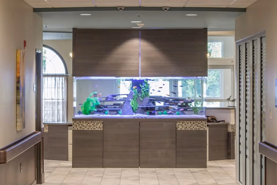 A hallway interior featuring a large illuminated aquarium set into a wooden cabinet divider.