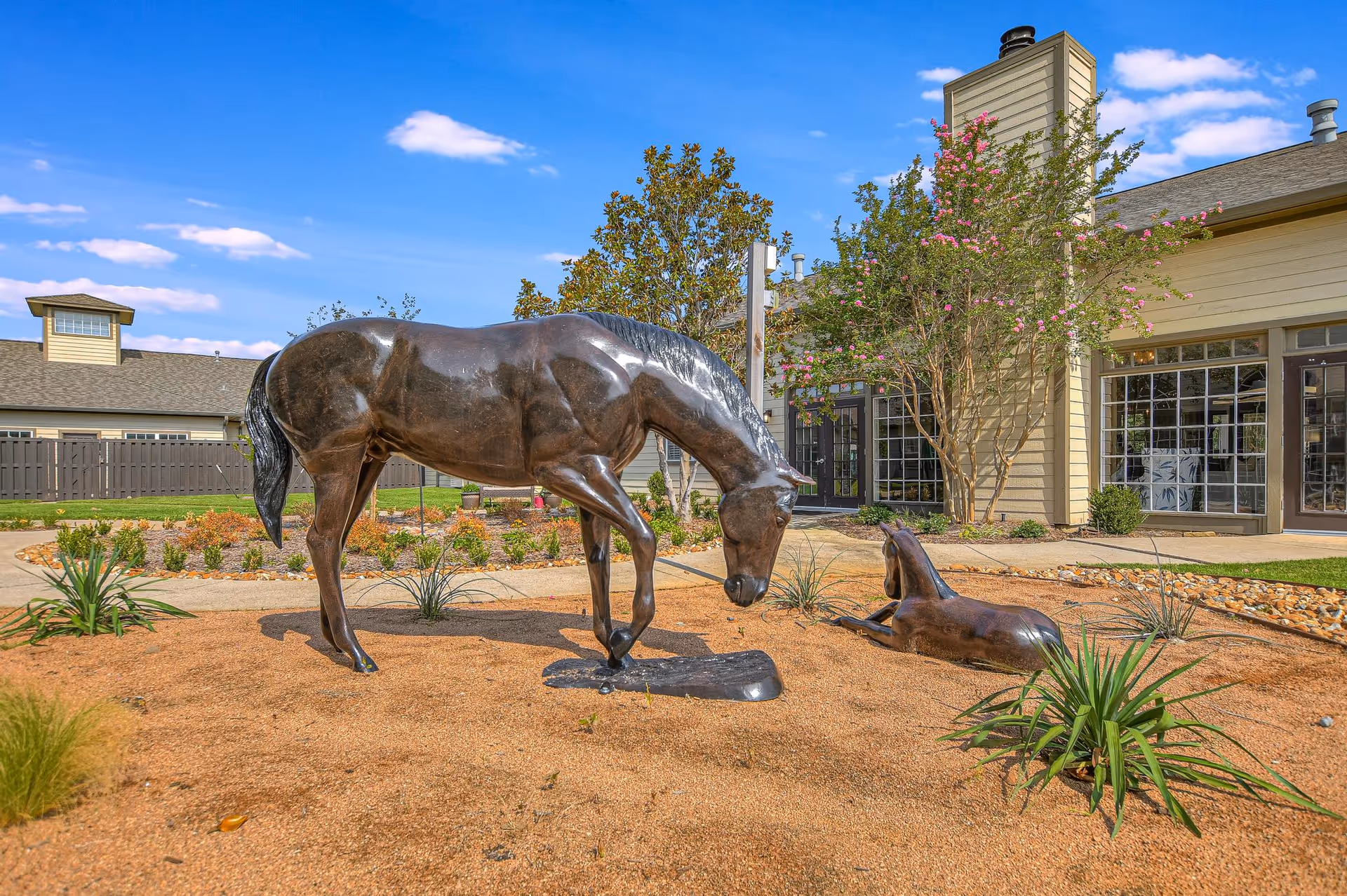 Outdoor garden area at Cedar Crest Senior Living of Lewisville featuring two bronze horse sculptures, one standing and one lying down, surrounded by plants and landscaping with a building and clear blue sky in the background.
