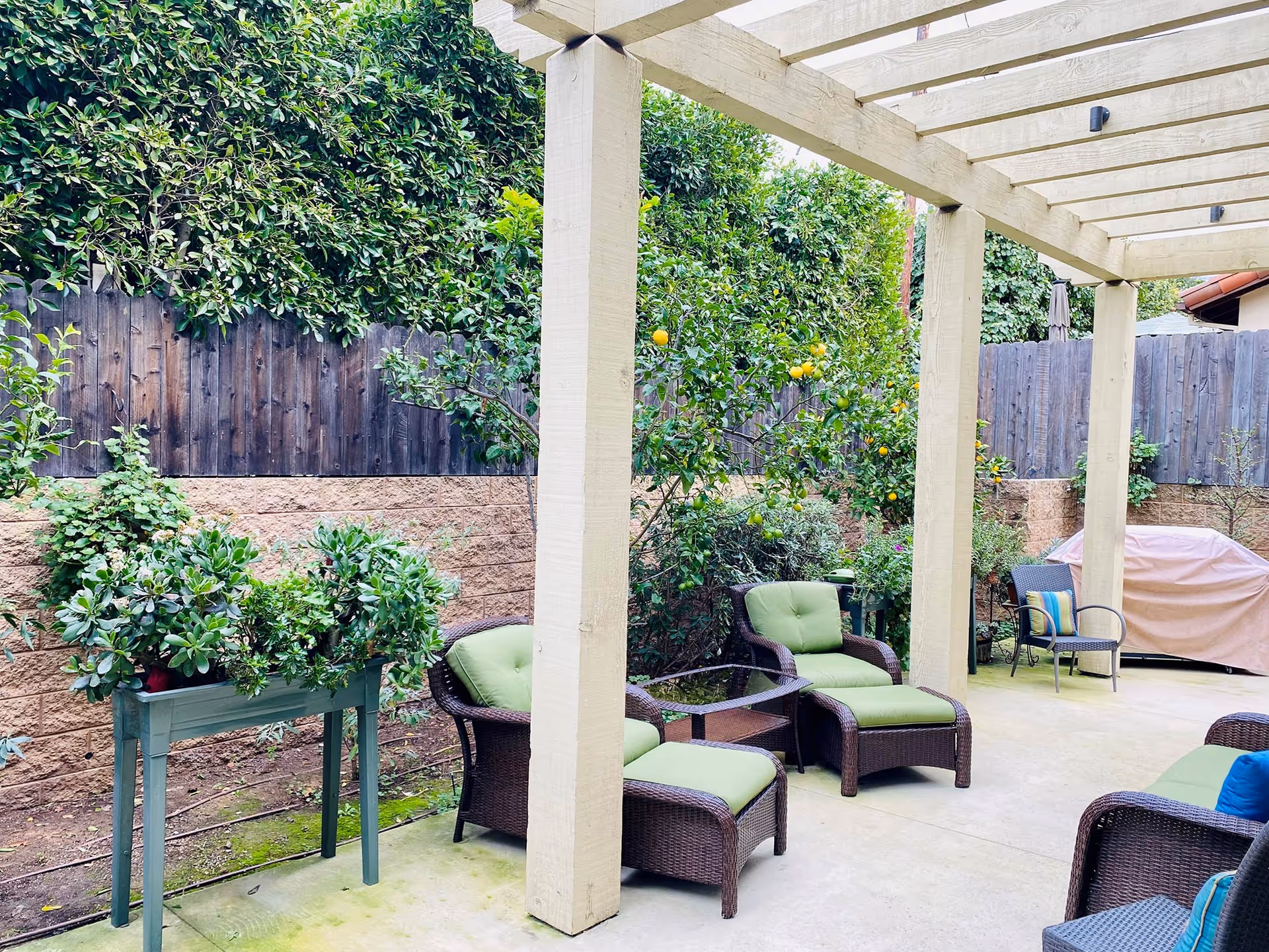 Outdoor patio area with wicker chairs and ottomans featuring green cushions, a glass-top side table, a covered grill, and various plants and trees along a wooden fence under a pergola.