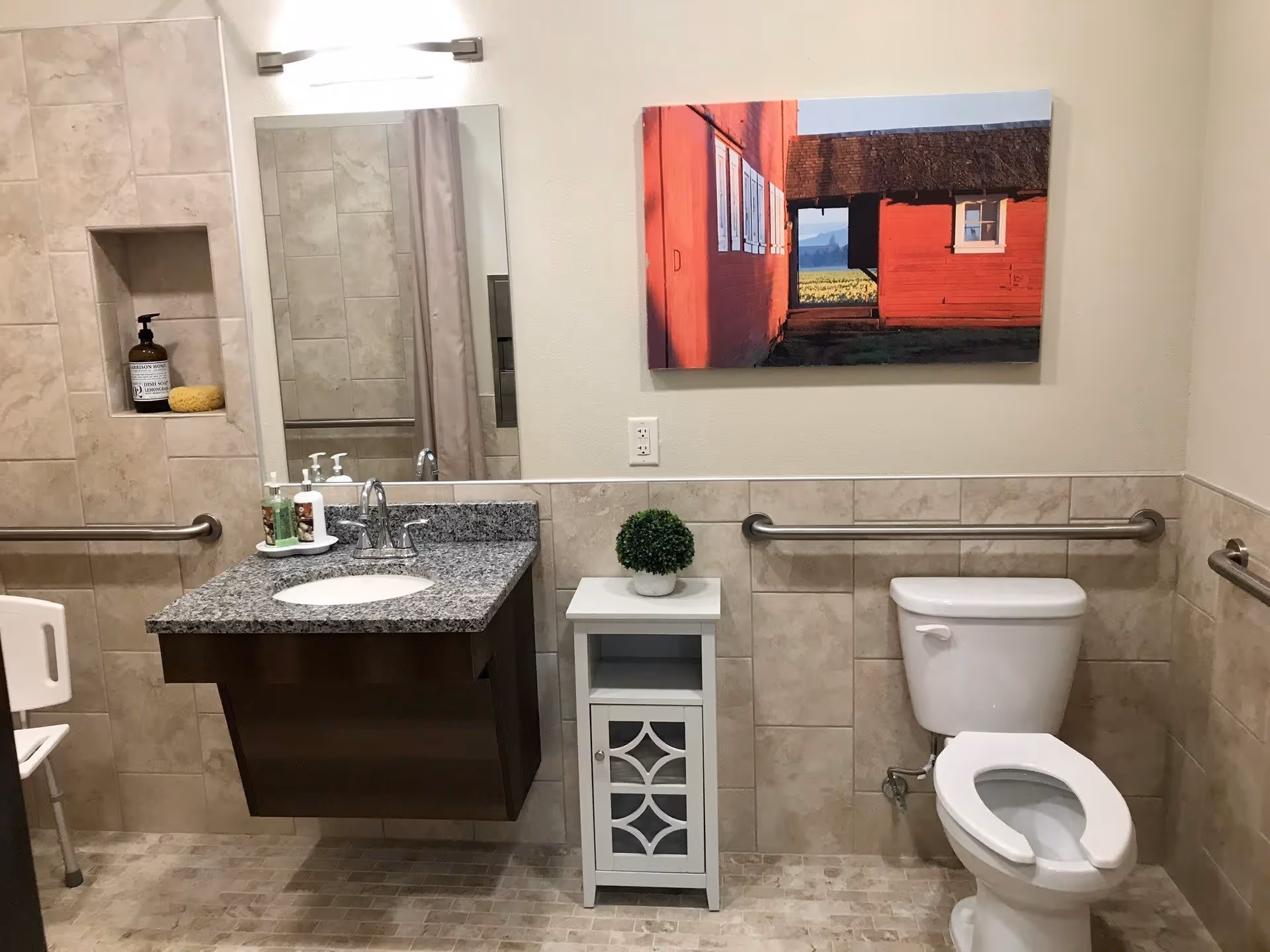 A clean, accessible bathroom featuring a wall-mounted granite sink with soap dispensers, a toilet with grab bars on both sides, a small white cabinet with a decorative plant on top, a wall-mounted mirror, and a colorful picture of a red barn on the wall.