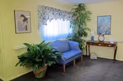 A cozy sitting area in a room with pale yellow walls featuring a blue loveseat, a large potted plant, a wooden console table with decorative items including a clock and a framed picture, and a window with floral curtains.