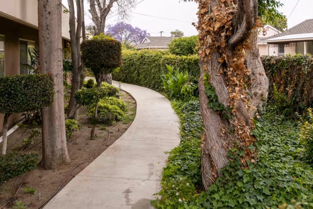 A curved concrete pathway surrounded by green plants, bushes, and trees, leading through a garden area with residential buildings visible in the background.