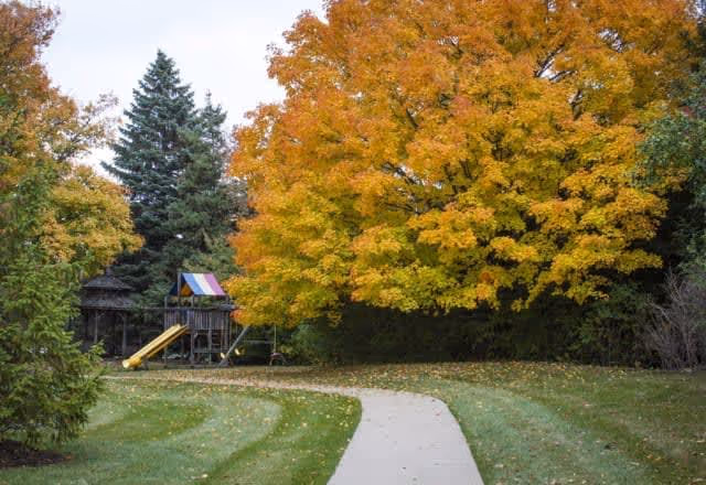 A paved walkway curves through a grassy area with a large tree displaying vibrant autumn foliage in shades of yellow and orange. In the background, there is a wooden playground structure with a slide and a small gazebo surrounded by evergreen trees.