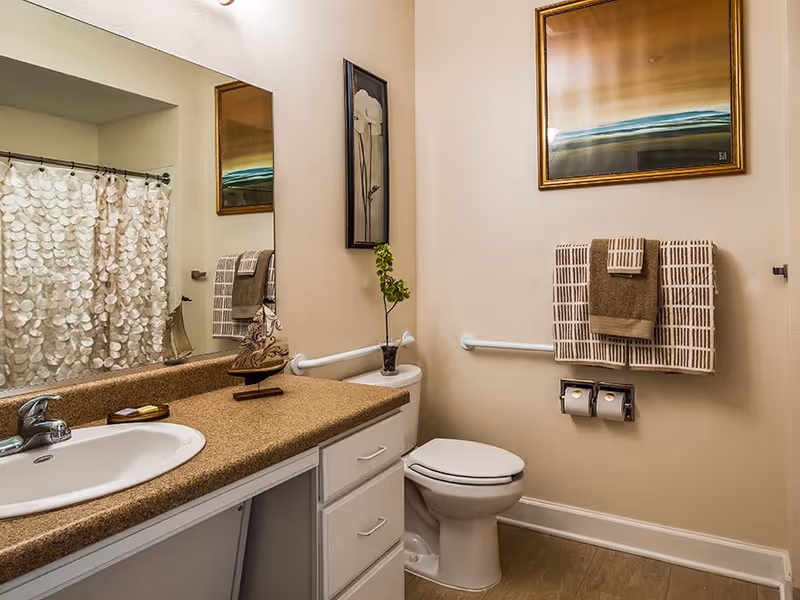 A bathroom with a white sink and brown countertop, a toilet with grab bars on both sides, a shower with a decorative curtain, a small plant on the toilet tank, two framed pictures on the walls, and neatly folded towels hanging on a towel rack.