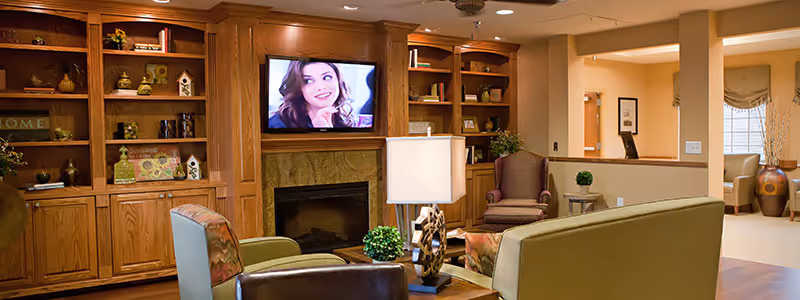 A cozy living room area with wooden built-in shelves filled with decorative items, a flat-screen TV mounted above a fireplace, and comfortable seating including armchairs and a sofa. A table lamp and small plants add to the warm and inviting atmosphere.