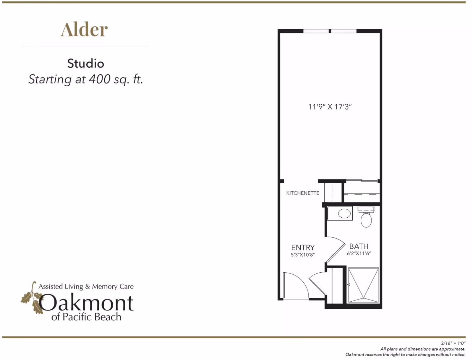 Studio floor plan titled "Alder" showing a 400 sq. ft. layout with kitchenette, entry, and bath.