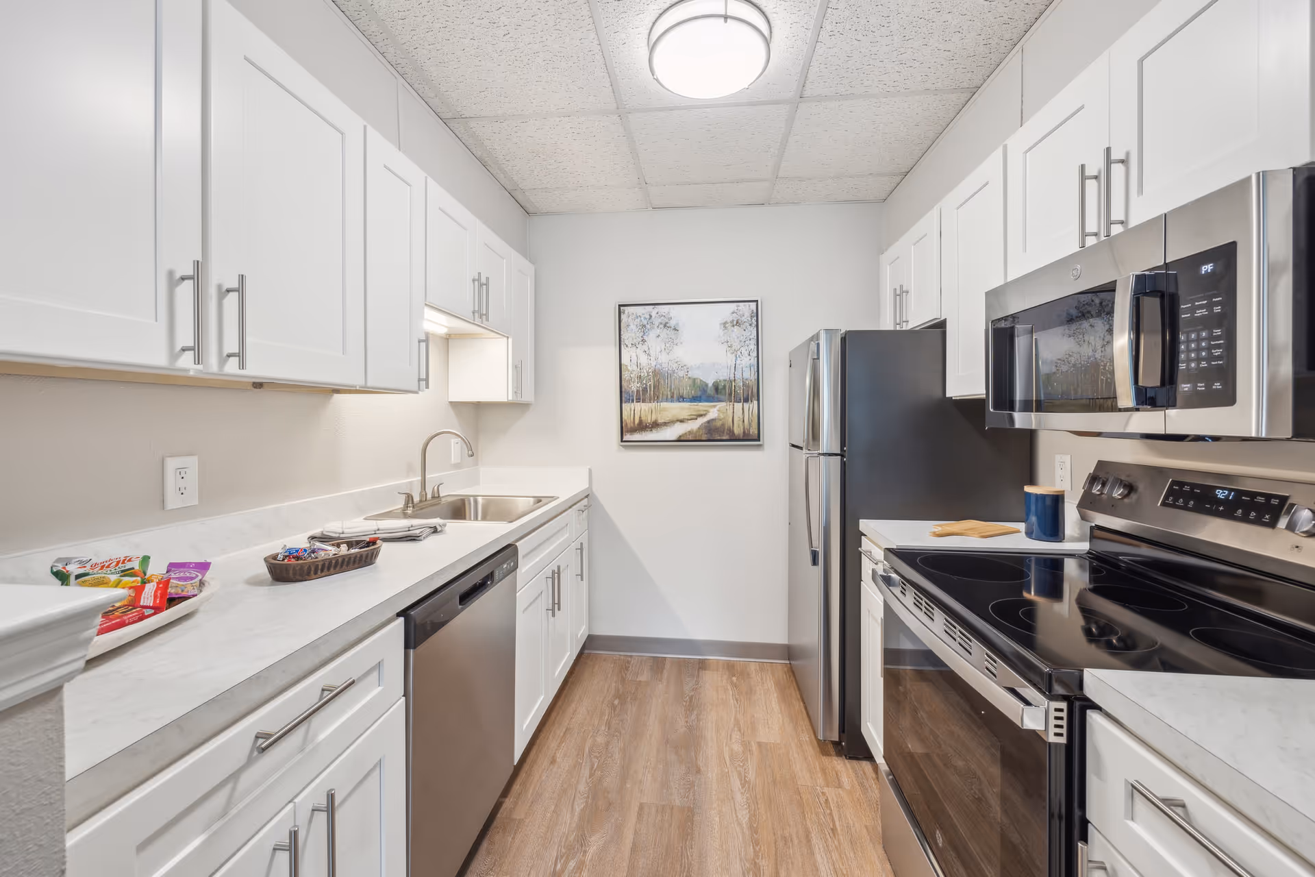 Modern galley kitchen with white cabinets, stainless steel appliances, and a framed landscape on the far wall.
