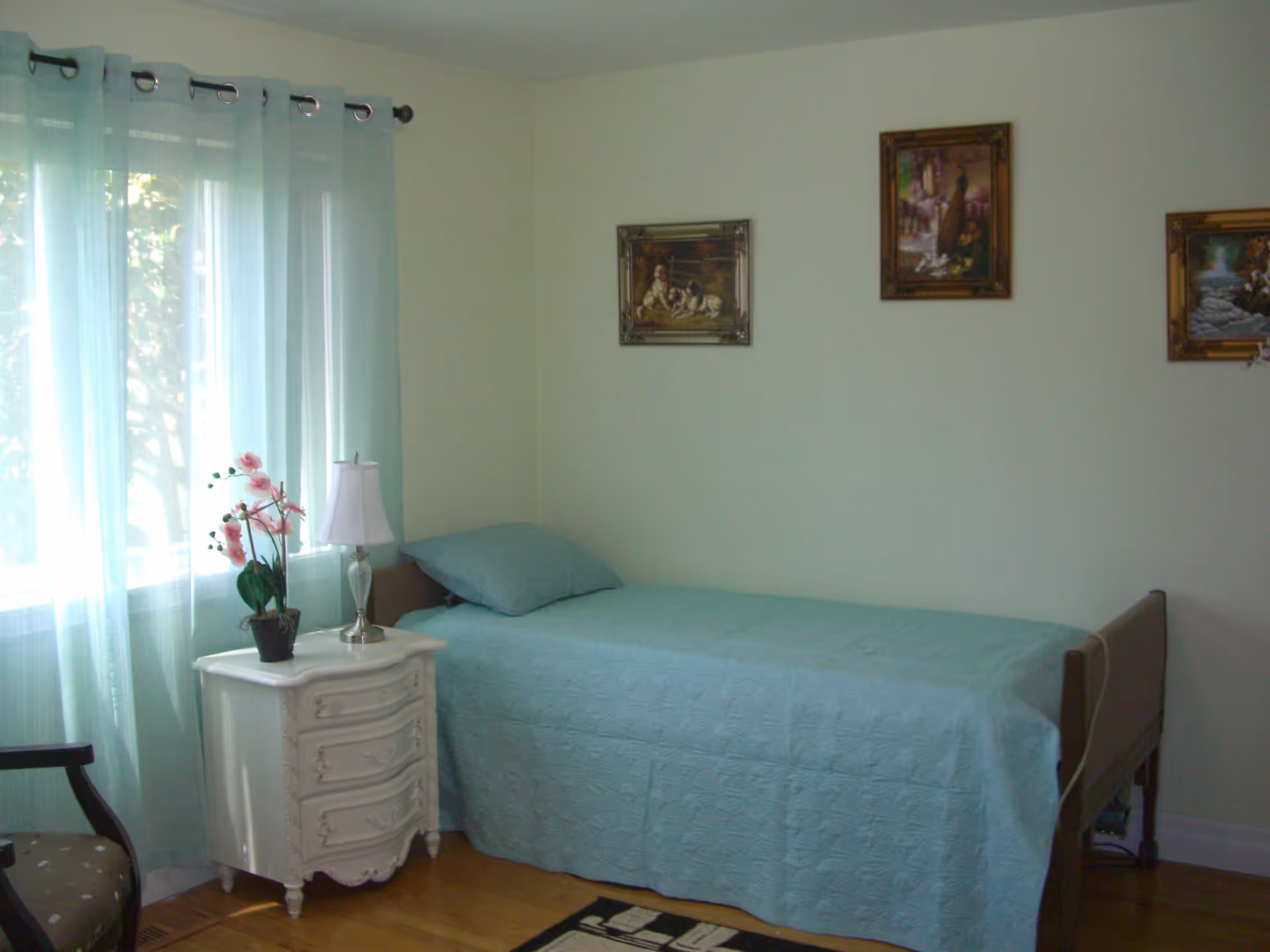 A simple bedroom with a single bed covered in a light blue quilt and matching pillow. Next to the bed is a white nightstand with a small lamp and a potted orchid. Light blue curtains cover a window on the left side, and three framed paintings hang on the light-colored wall above the bed. A wooden chair with a patterned cushion is partially visible on the left.