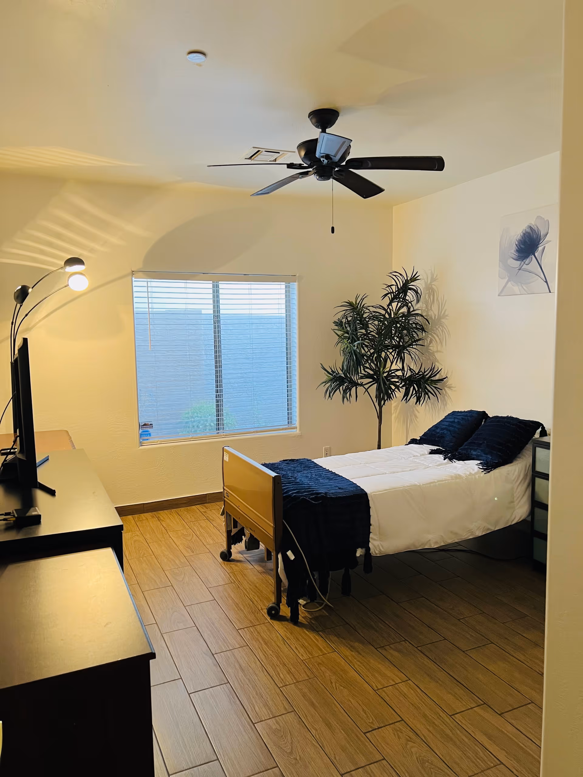 Furnished bedroom with a single adjustable bed, ceiling fan, floor lamp, potted plant, dresser, and a window.