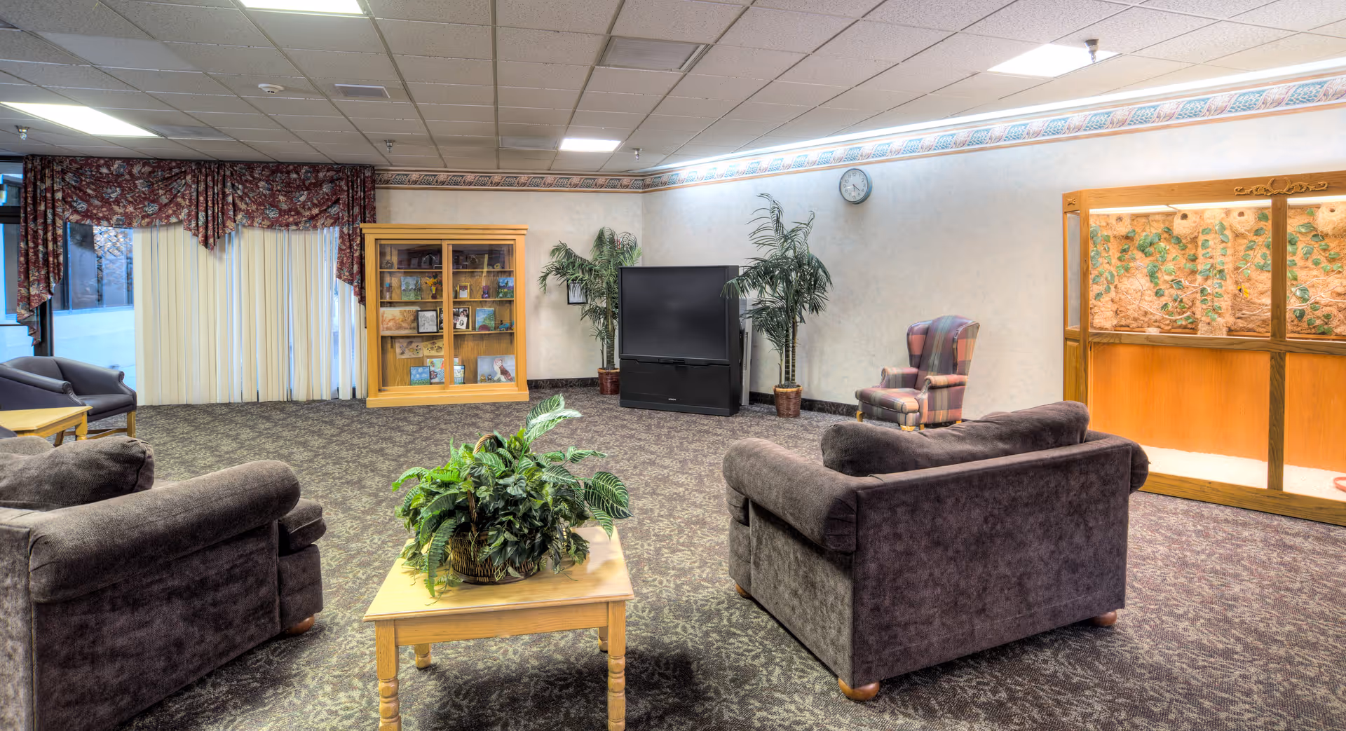 A spacious living room area with two dark brown sofas, a wooden coffee table with a green potted plant, a large TV on a stand, two potted plants, a wooden display cabinet with photos and decorations, a patterned armchair, and large windows with floral curtains and vertical blinds.
