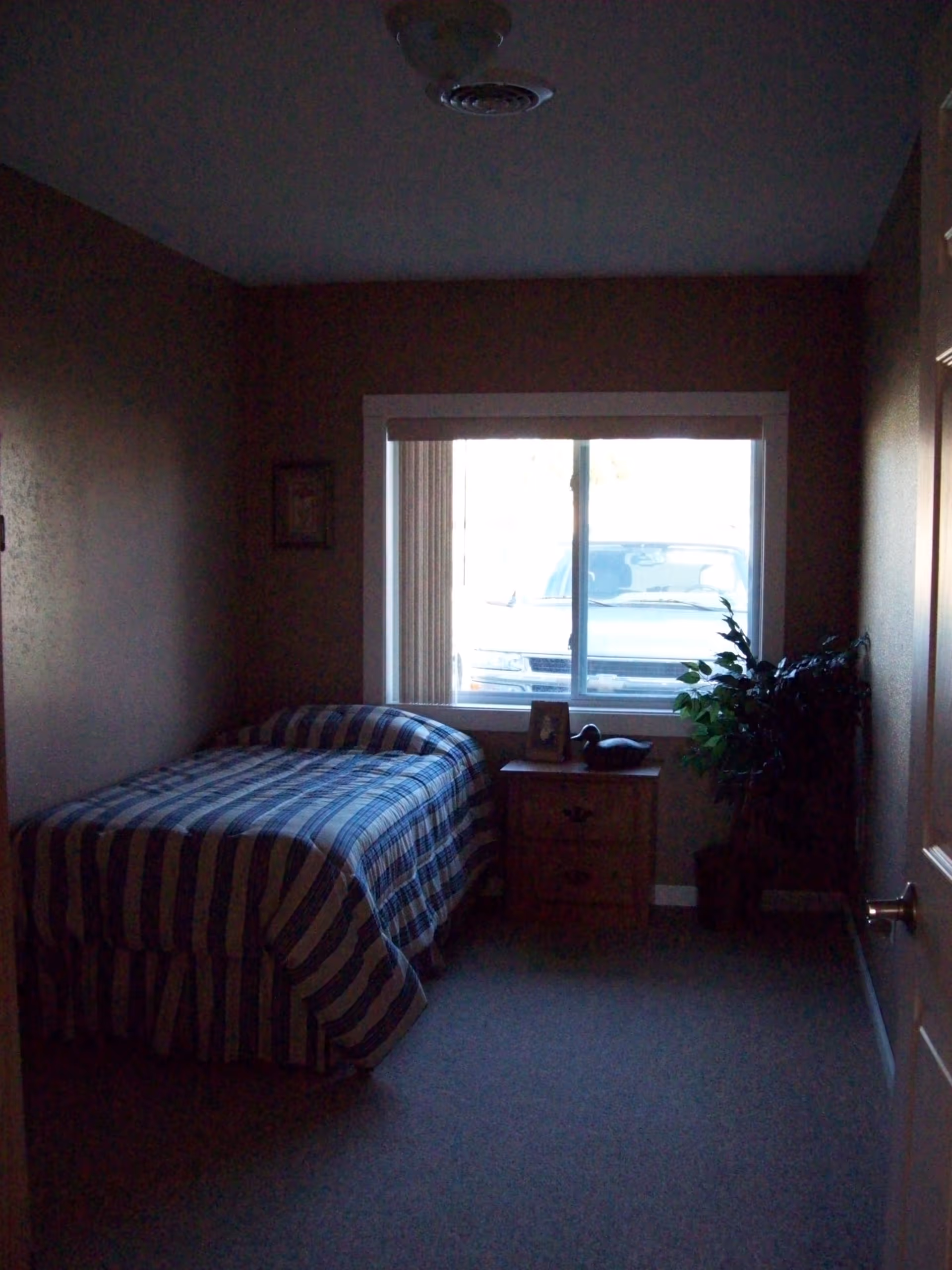 A small bedroom with a single bed covered in a blue and white striped bedspread. Next to the bed is a wooden nightstand with a framed photo and a decorative duck figurine. There is a window behind the nightstand showing a parked vehicle outside. A potted plant is placed in the corner near the window. The room has beige walls and carpeted floor.