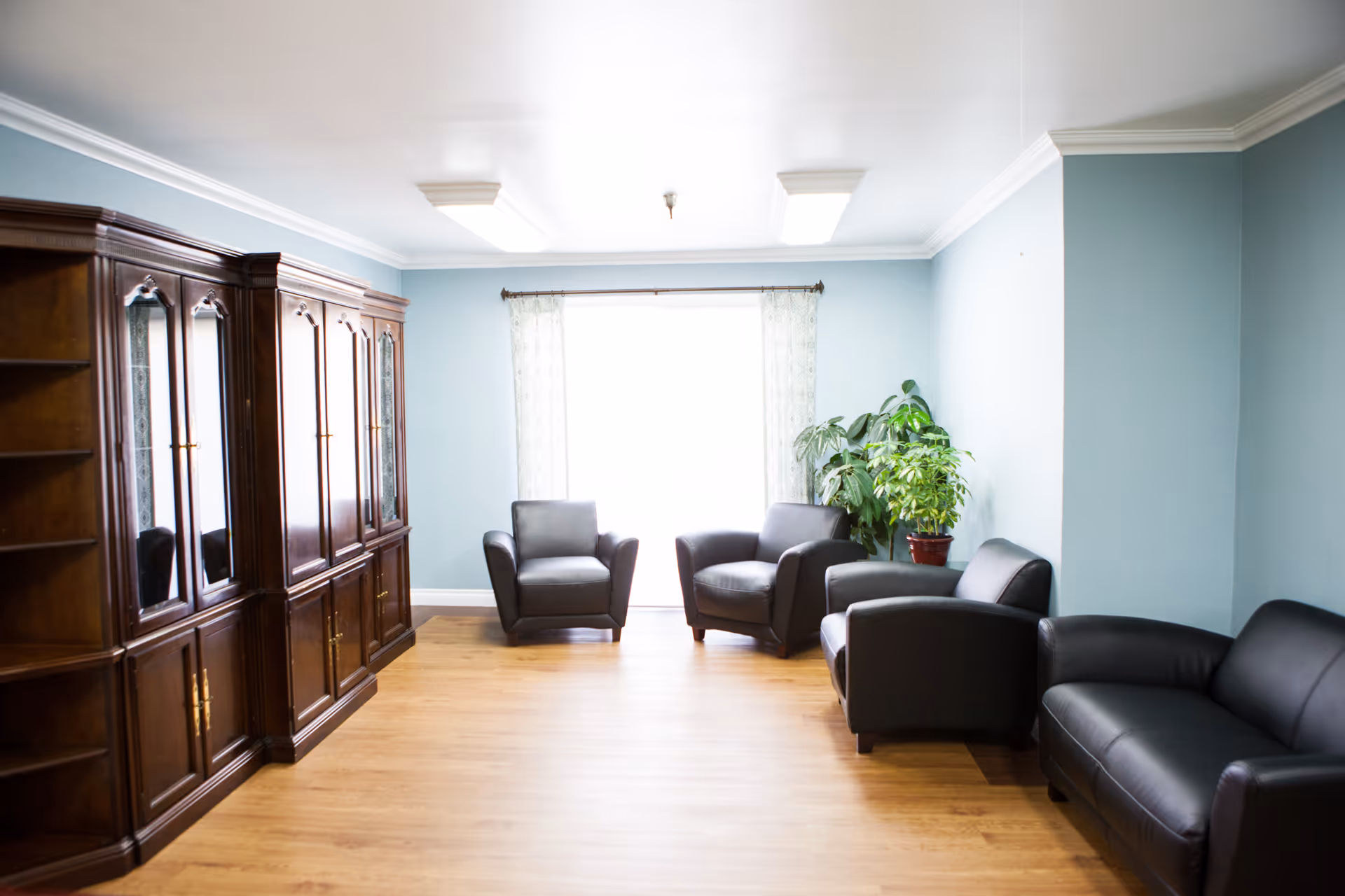 A bright room with light blue walls and wooden flooring featuring four black leather chairs arranged around the room and a large wooden cabinet with glass doors on the left side. A window with sheer curtains and a potted plant are visible at the far end of the room.