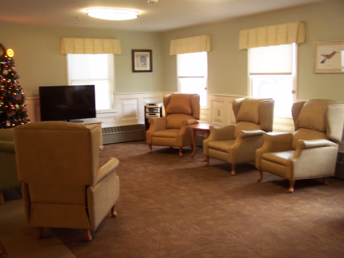 Common sitting room with several upholstered armchairs arranged around a television and a decorated Christmas tree near the window.