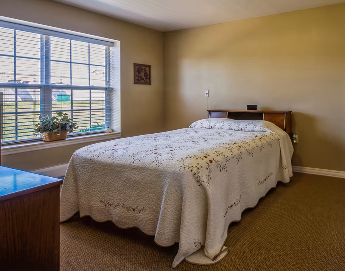 A simple bedroom with a single bed covered in a floral quilt, a window with blinds and a small plant on the sill.