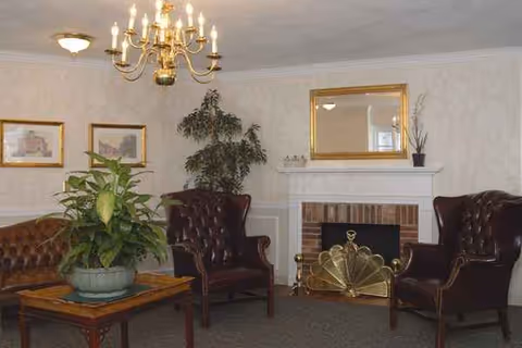 Cozy living room with leather chairs, fireplace, chandelier, and potted plants.
