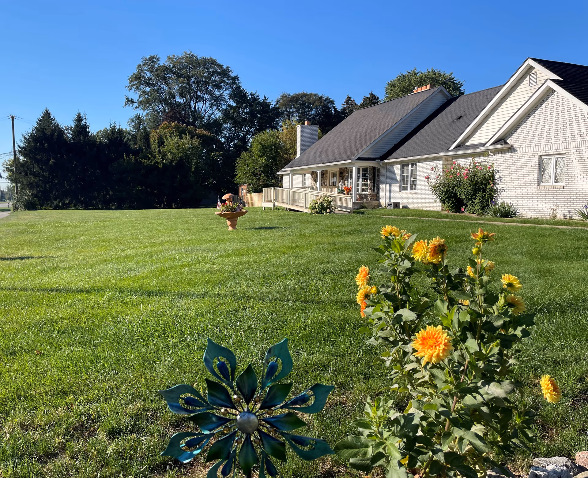 A large green lawn with yellow flowers and a decorative metal flower in the foreground. In the background, there is a white brick building with a dark roof, a porch with a ramp, and some bushes and trees under a clear blue sky.