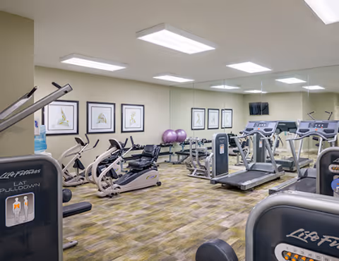 Well-lit fitness room with treadmills, stationary bikes, weight machines, exercise balls and a mirrored wall.