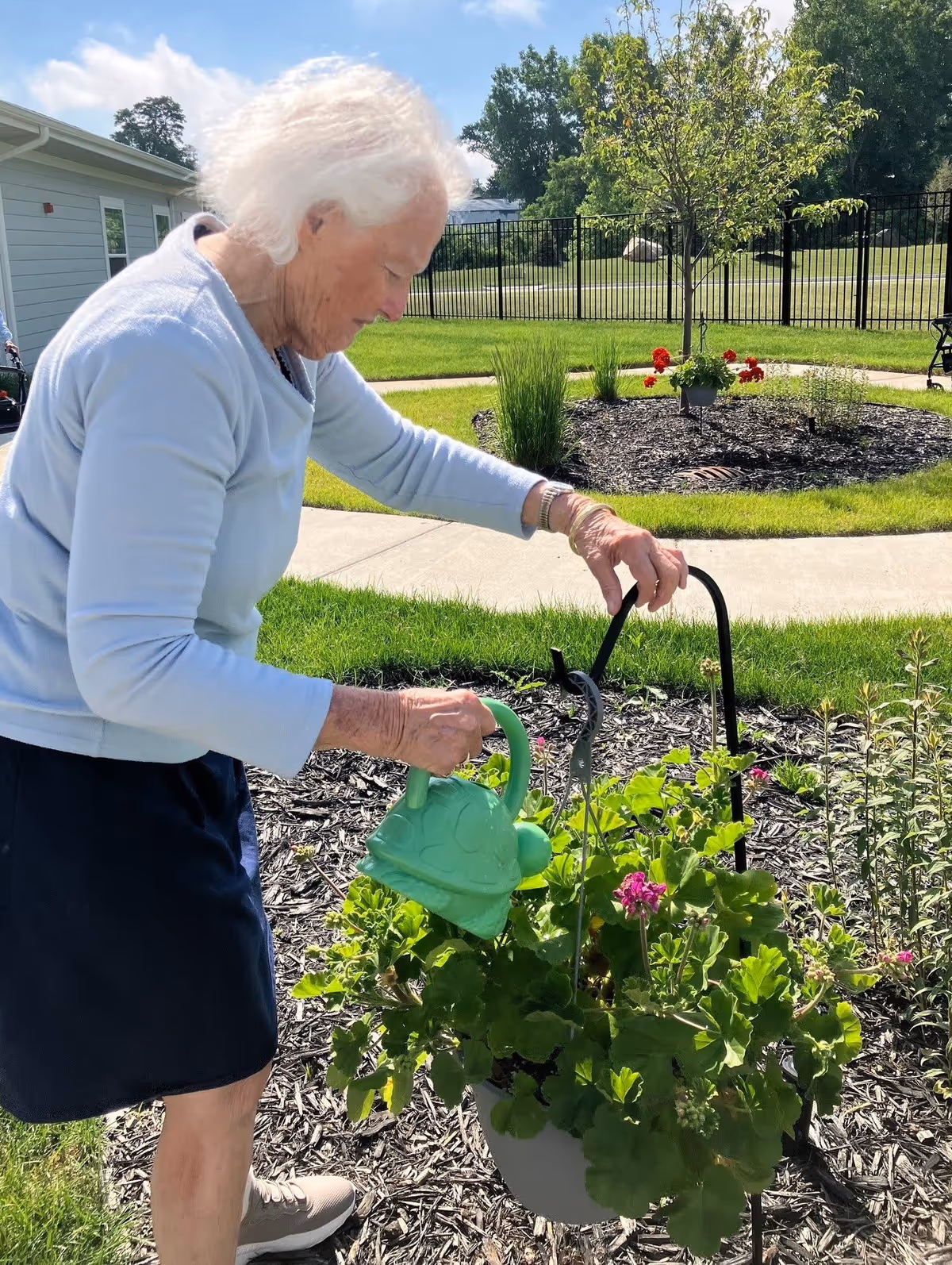 An elderly woman with white hair is watering a hanging plant with pink flowers in a garden area outside. She is wearing a light blue long-sleeve shirt, dark shorts, and beige shoes. The garden has mulch, green grass, and a small tree in the background, with a building and a black metal fence further behind.