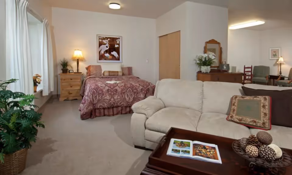 A cozy studio apartment with a bed covered in a patterned maroon comforter, a beige sofa with decorative pillows, a wooden coffee table with an open book and decorative pine cones, a wooden nightstand with a lamp and plant, and a dresser with a mirror and flowers. The room has beige carpet and white walls with framed artwork and large windows with white curtains.