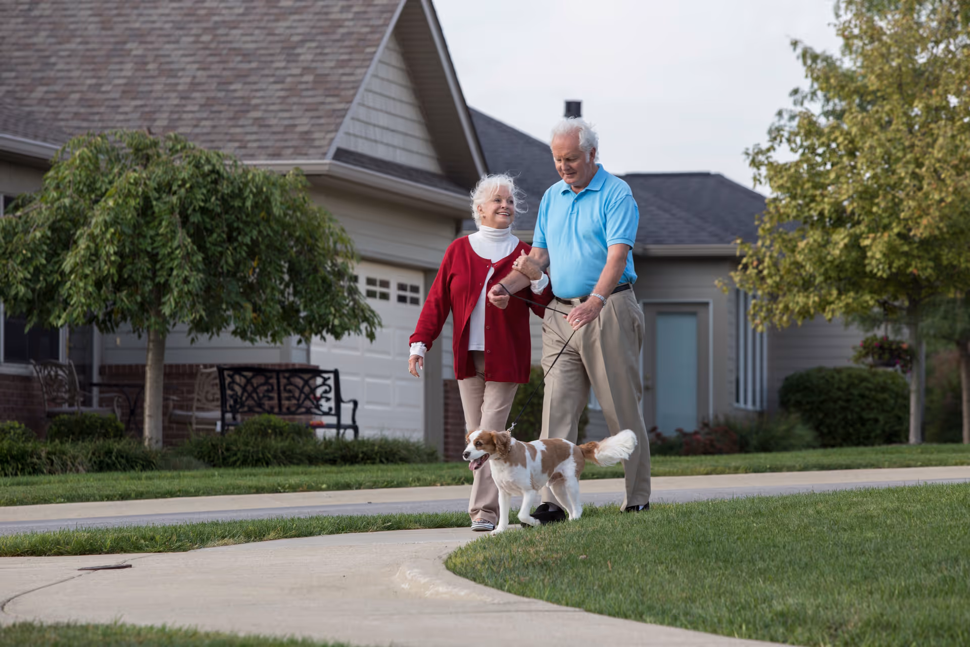An elderly couple walking a small dog on a leash along a sidewalk in a residential neighborhood with houses and trees in the background. The woman is wearing a red cardigan and beige pants, and the man is wearing a light blue polo shirt and beige pants.