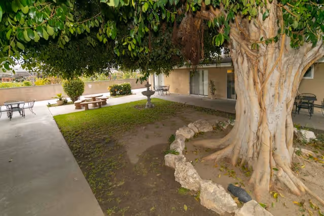 Shaded outdoor courtyard with a large tree, stone border, picnic tables and patio seating beside a single-story building.