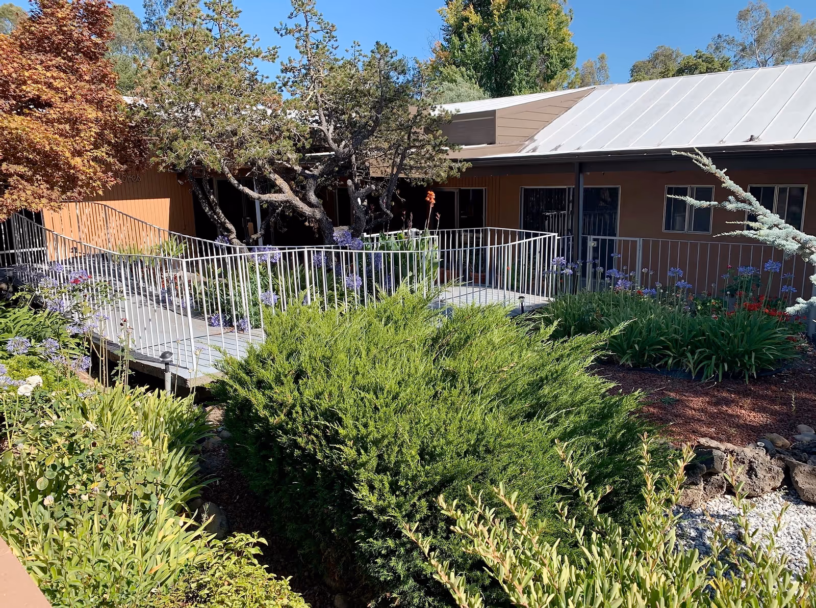 Outdoor garden area with various green shrubs, flowering plants, and trees surrounding a building with a metal roof and a white railing ramp leading to the entrance.