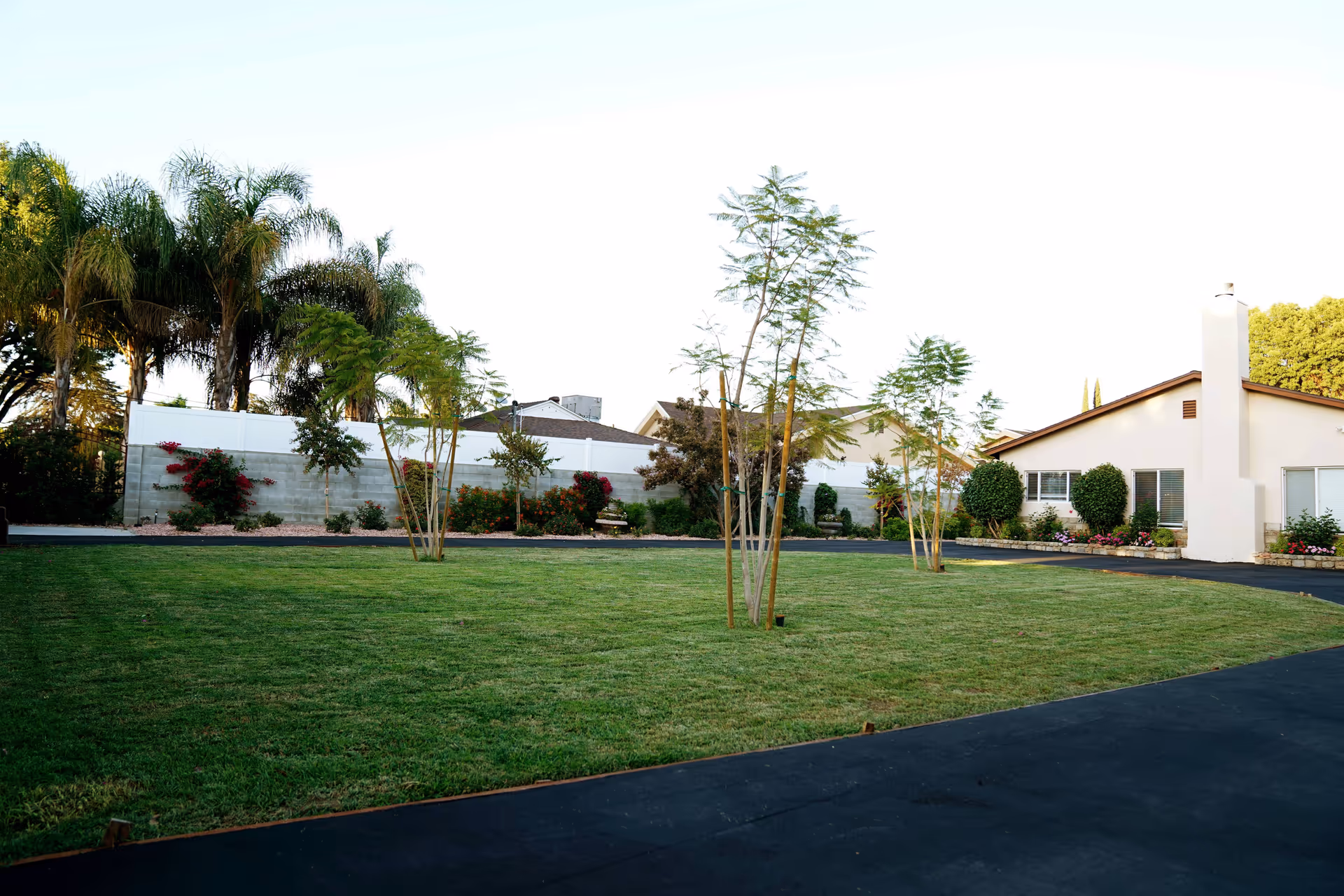 A well-maintained outdoor area with a green lawn, young trees, and a paved driveway. In the background, there is a single-story building with a chimney, windows, and some bushes and flowers near the foundation. Tall palm trees and a white fence are visible behind the building.