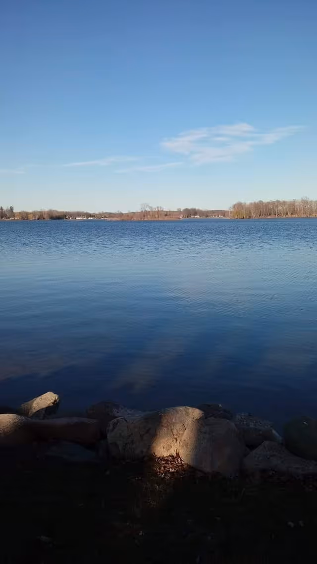 Calm lake scene with rocks in the foreground and a tree-lined shore under a clear blue sky.