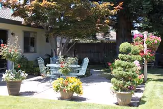 Outdoor patio with a glass table, chairs, and potted plants in a sunny yard.