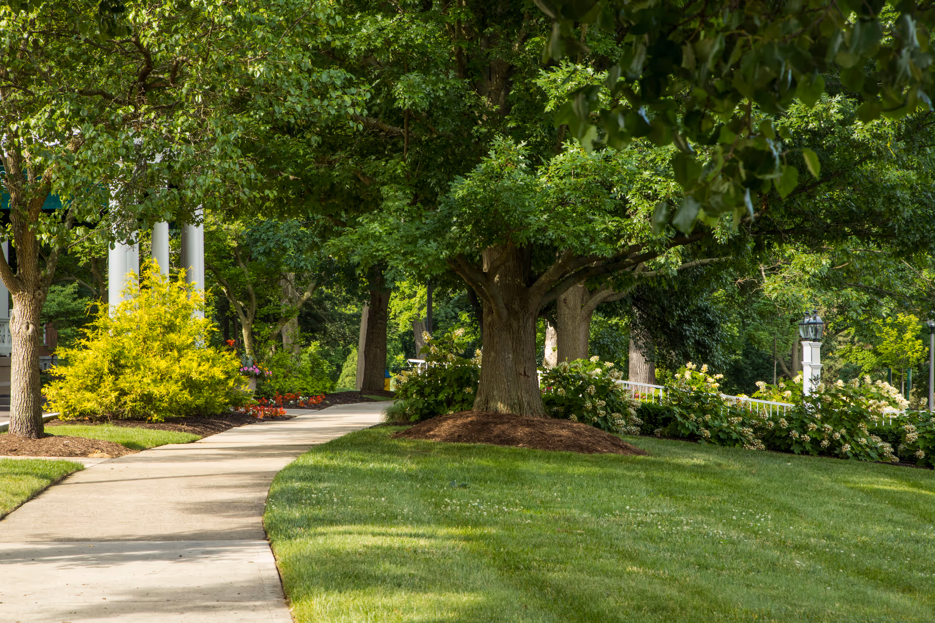 A curved concrete pathway surrounded by well-maintained green grass, trees, and various shrubs and flowering plants in a garden setting at 10 Wilmington Place Retirement Community.