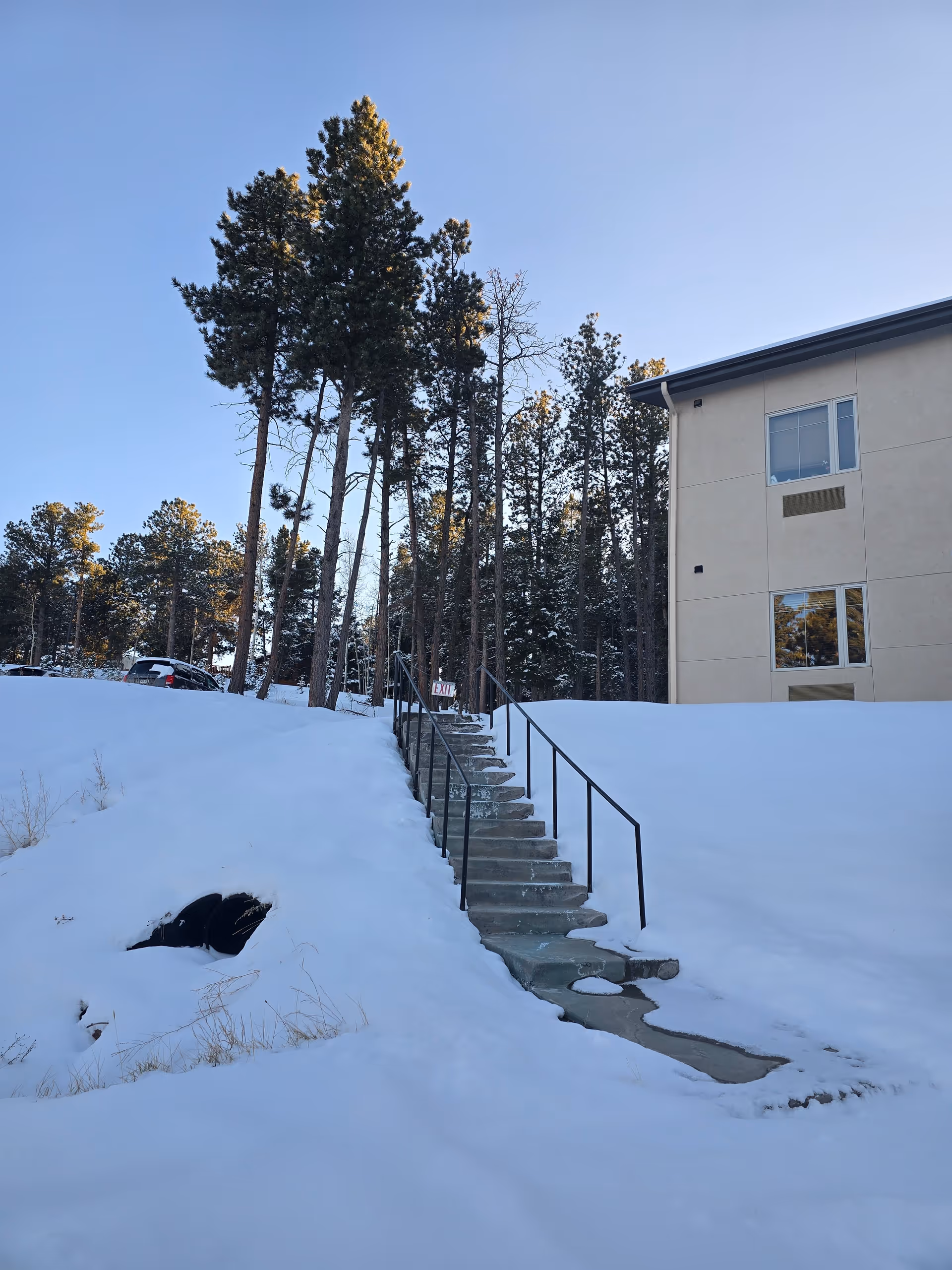 Snow-covered outdoor concrete stairway with handrails leading up beside a beige building and tall pine trees under a clear sky.