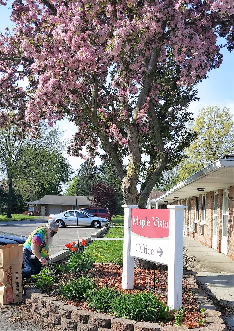 Front entrance of Maple Vista with a white office sign under a blooming pink tree and a person tending flowers.