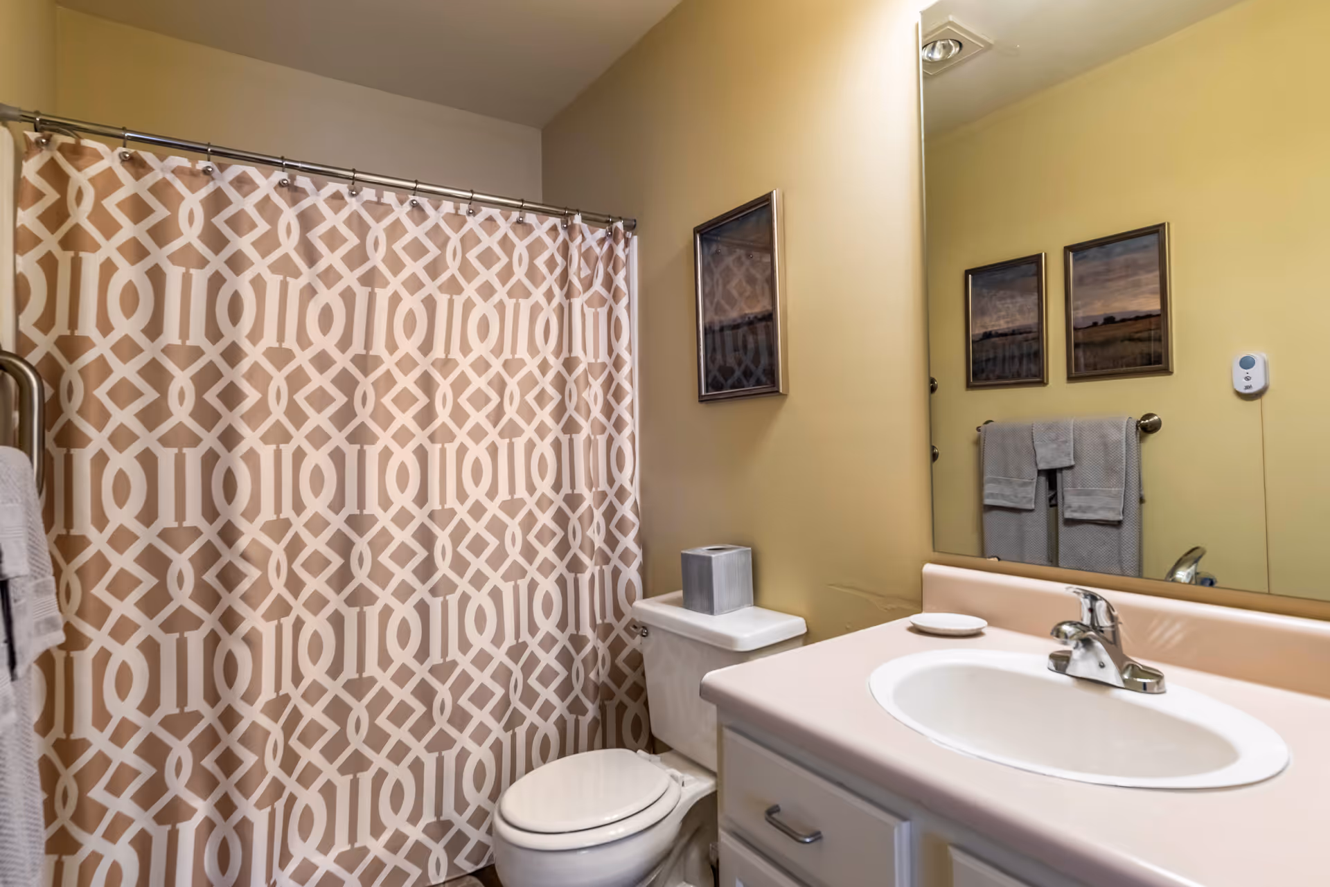 A bathroom with a white toilet, a sink with a faucet, and a countertop. There is a beige and white patterned shower curtain on a metal rod. Two framed pictures hang on the wall above the toilet, and two gray towels are hanging on a towel rack reflected in the mirror above the sink.