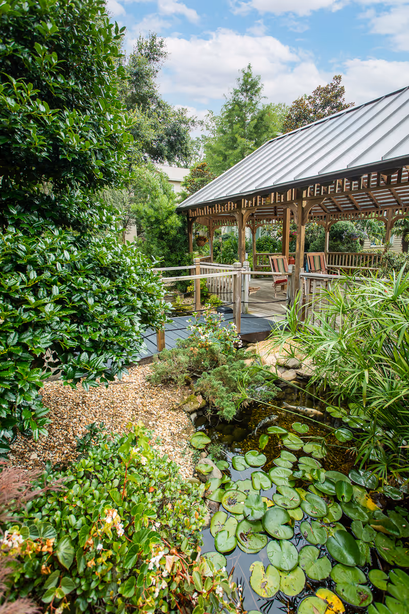 A serene outdoor garden area featuring a wooden gazebo with a metal roof, surrounded by lush green plants and trees. There is a small pond with lily pads in the foreground and a gravel path leading to the gazebo, which has wooden chairs inside.