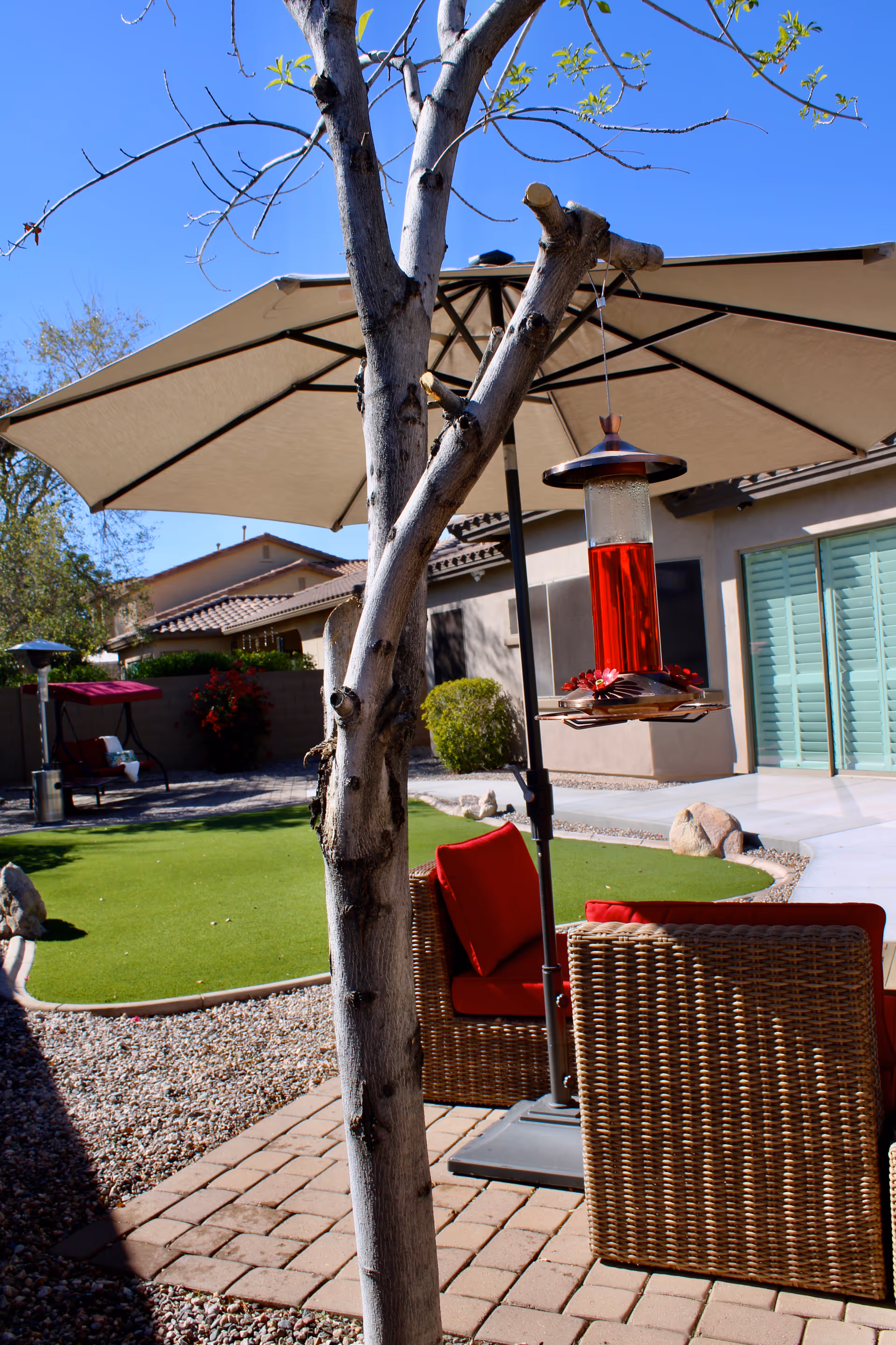 Outdoor patio area with a tree in the foreground, a large beige umbrella, wicker chairs with red cushions, a red hummingbird feeder hanging from the umbrella, and a well-maintained lawn with rocks and shrubs in the background under a clear blue sky.