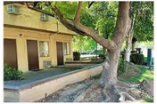 Outdoor view of Leisure Manor Apartments showing a tree in the foreground, a walkway, and the exterior of the apartment building with windows and doors.