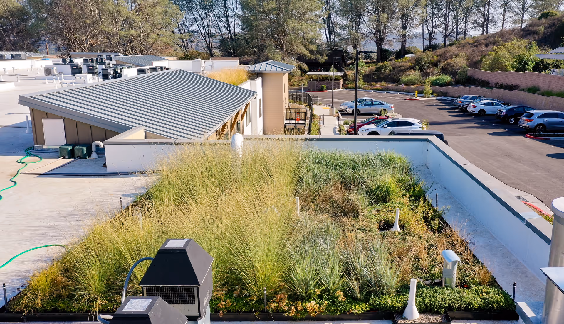 A rooftop garden with various green plants and grasses on top of a building, adjacent to a parking lot with several parked cars and surrounded by trees and hills in the background.