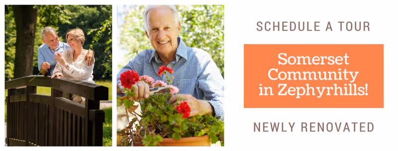 Two images side by side: On the left, an elderly couple standing on a wooden bridge outdoors, smiling and enjoying each other's company. On the right, an elderly man tending to red flowers in a garden, smiling at the camera. To the right of the images, text reads 'SCHEDULE A TOUR Somerset Community in Zephyrhills! NEWLY RENOVATED'.