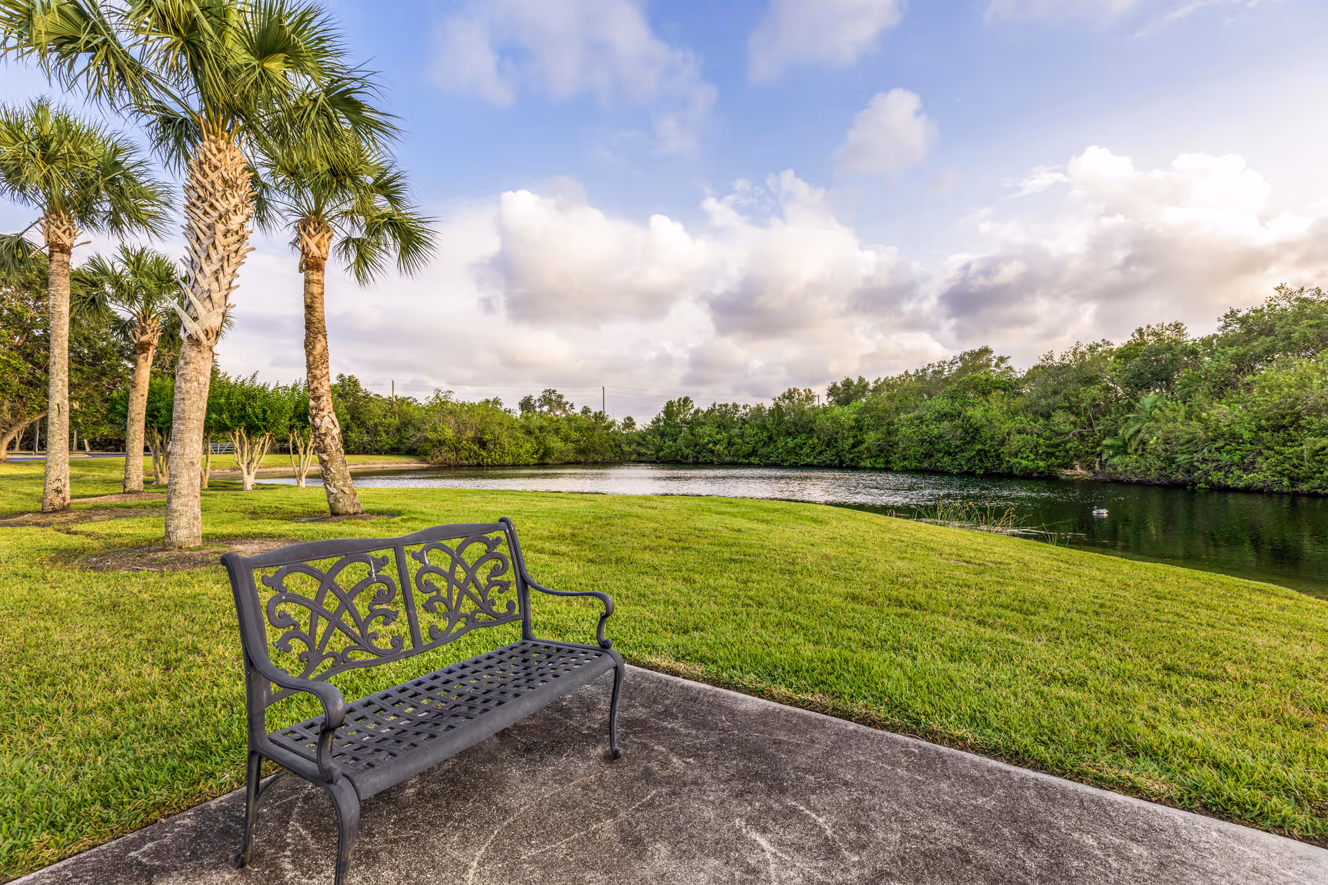 Decorative metal bench on a concrete path by a pond with palm trees and grassy banks under a partly cloudy sky.
