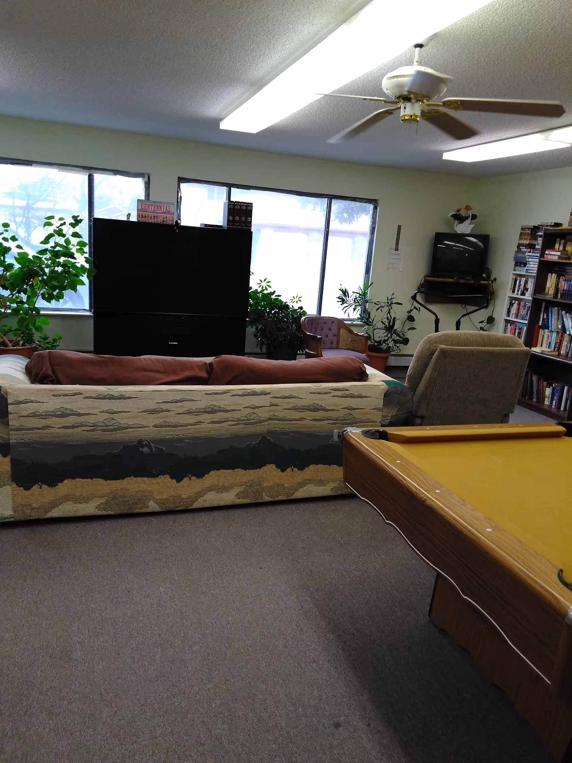 Community living room with couches facing a large TV, a pool table in the foreground, and bookshelves and plants along the walls.