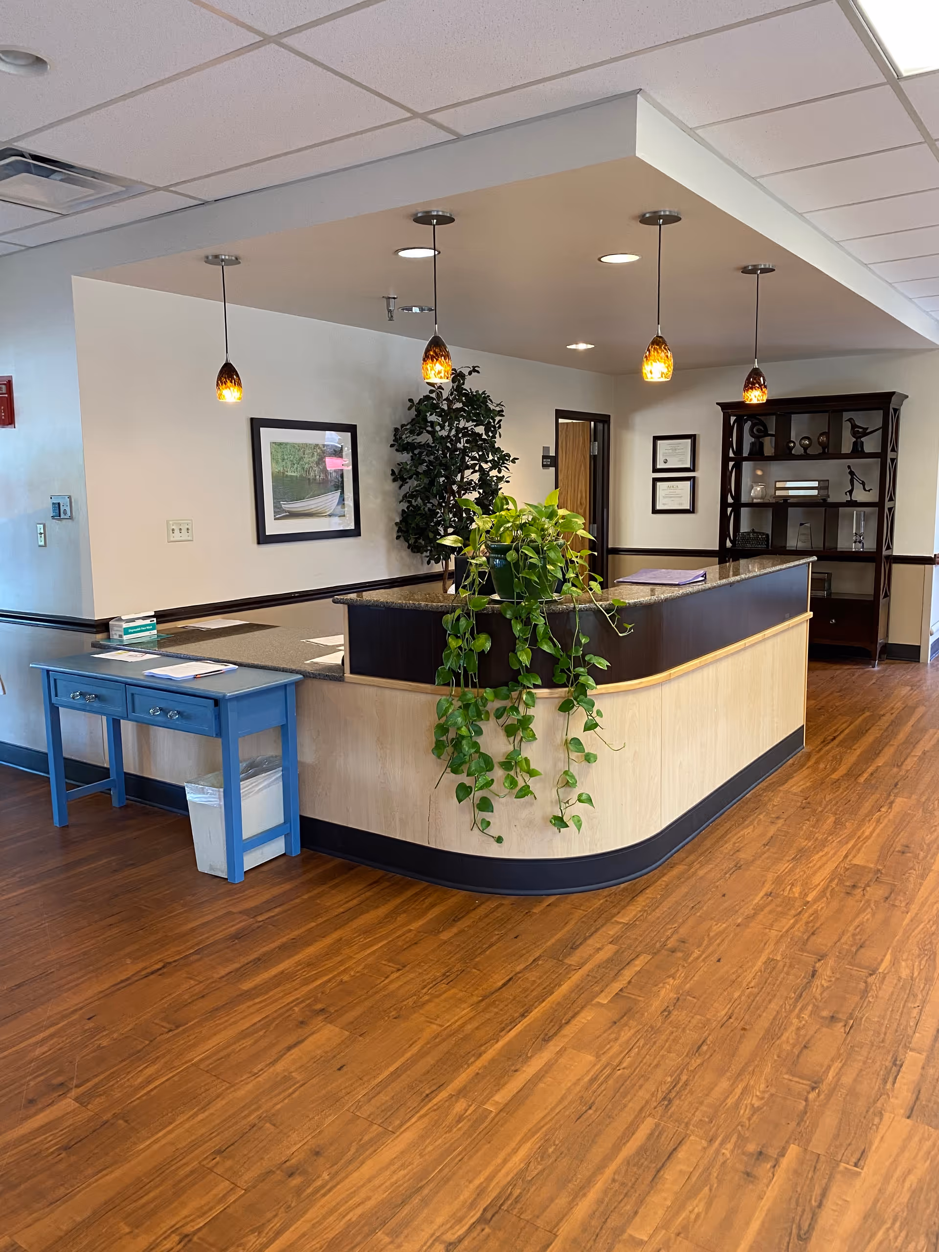 Reception area with a curved wooden desk featuring a granite countertop and a green potted plant hanging over the edge. Behind the desk, there is a tall leafy plant and a wall with framed certificates and a door. To the left, a blue side table with drawers and papers on top is positioned against the wall. The floor is wooden, and four pendant lights with amber-colored shades hang from the ceiling.