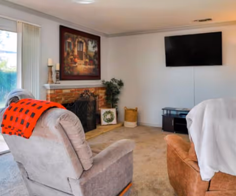 A cozy living room with two recliner chairs, one gray with an orange and black blanket draped over it and the other brown with a white cover. There is a brick fireplace with a decorative screen, a framed painting above the mantel, and a small plant and basket on the floor nearby. A flat-screen TV is mounted on the wall opposite the chairs, above a small black TV stand. A sliding glass door with vertical blinds is visible on the left side.