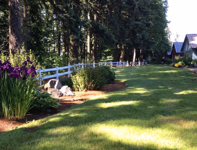 A well-maintained grassy lawn bordered by a white wooden fence and various bushes and purple flowers on the left side. Tall trees provide shade in the background, and there are buildings with metal roofs visible on the right side under a clear sky.