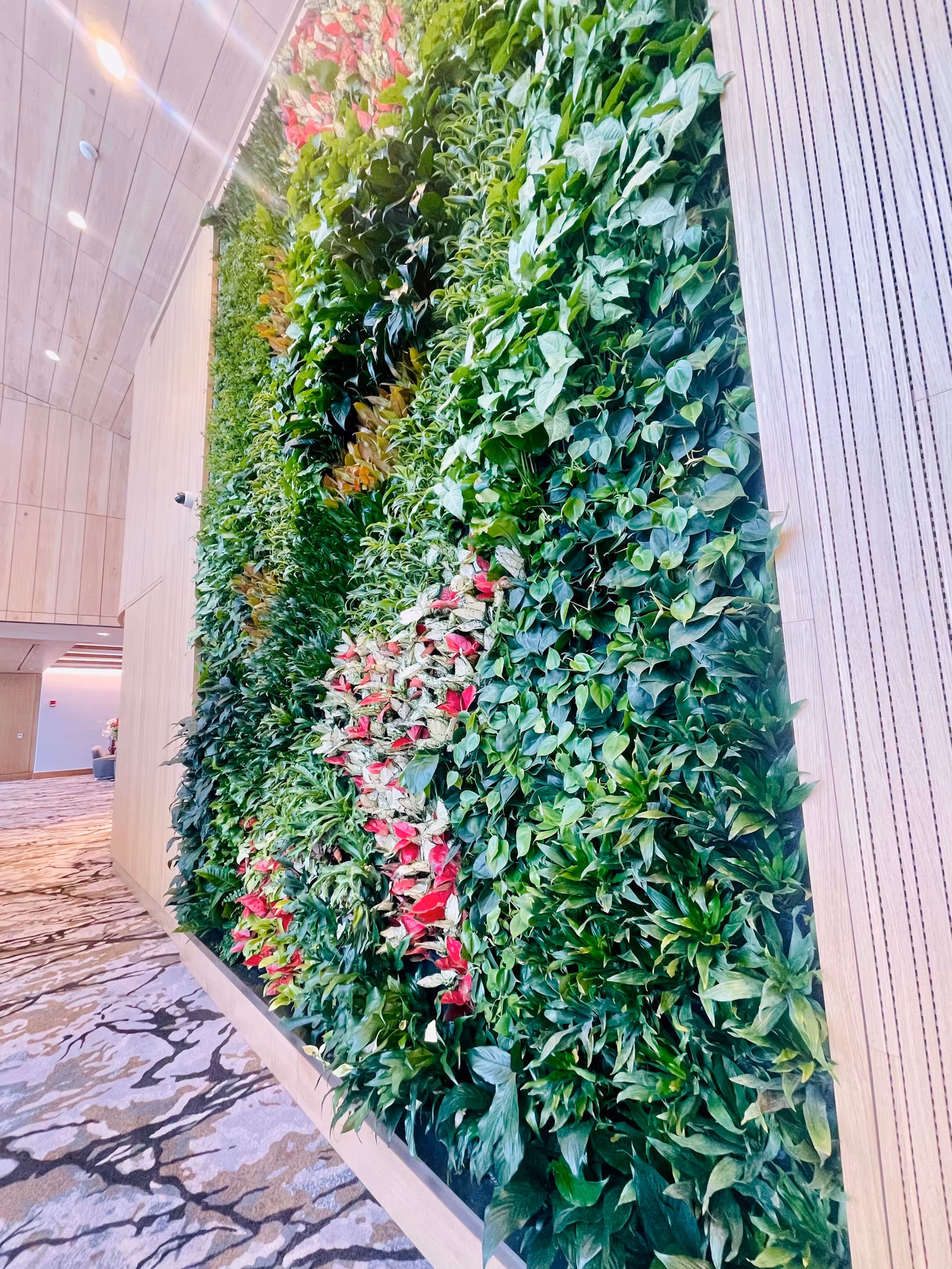 Indoor vertical garden wall with various green and red plants in a modern interior space with wood paneling and patterned carpet flooring.